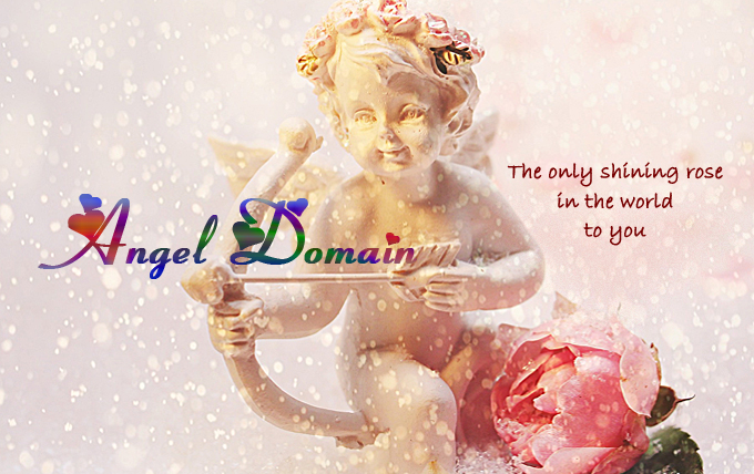 Beautiful angel image.The only shining rose in the world to you.