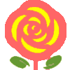 rose imgr